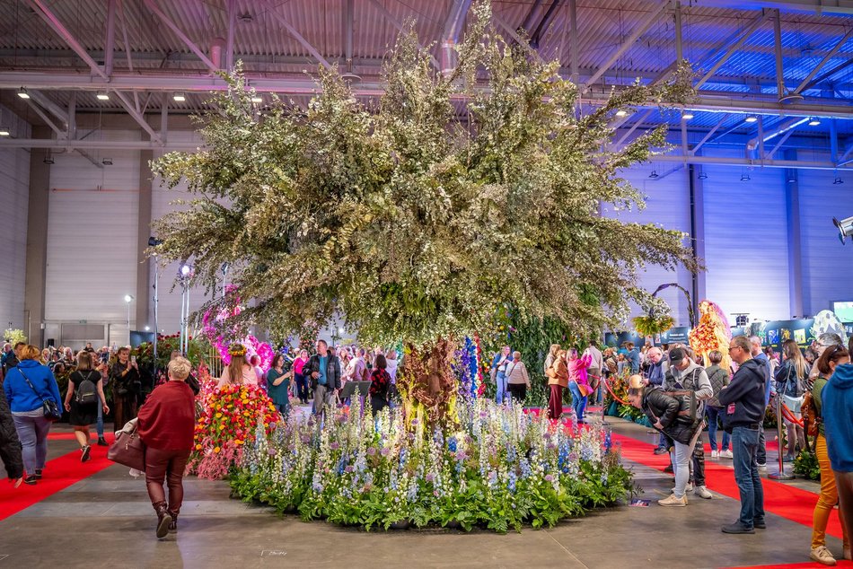Łódź. World Flower Show w hali Expo Łódź. Przyjdź i zobacz orchidee, drzewa bonsai i sukulenty