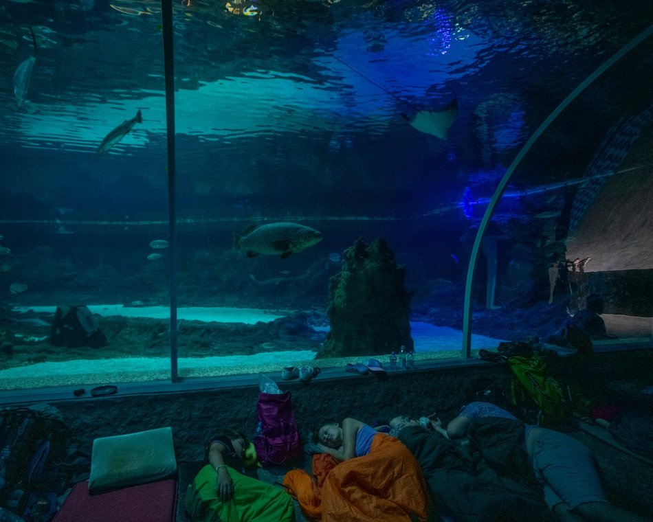 601. Urodziny Łodzi w Orientarium Zoo Łódź