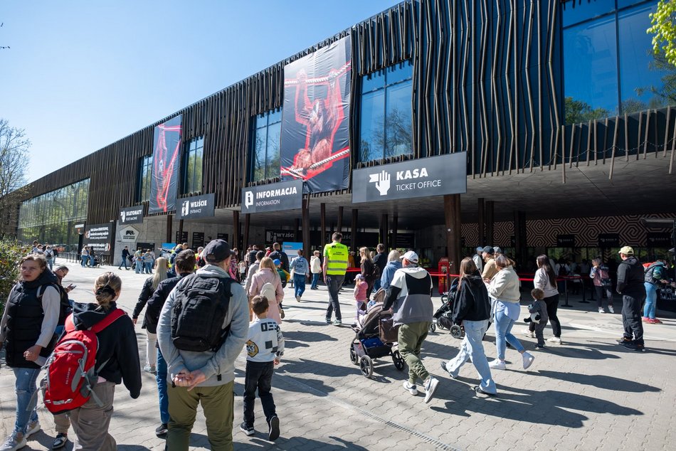 Tłumy w Orientarium Zoo Łódź! Nowości przyciągają jak magnes!