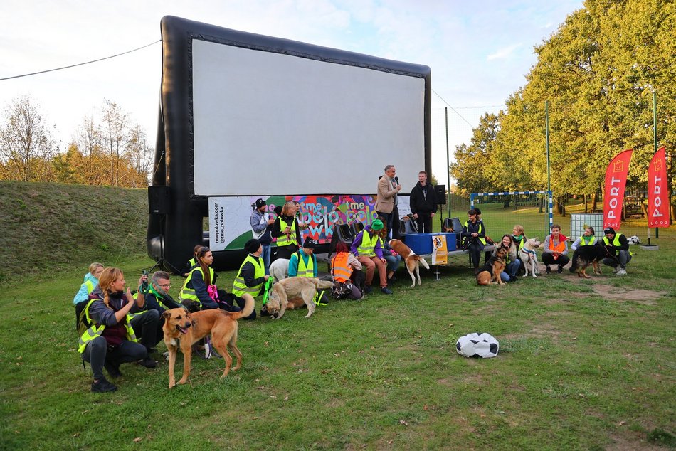 Psia Polówka w Porcie Łódź