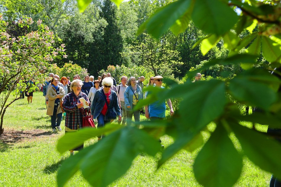 Spacer o ziołach leczniczych w Ogrodzie Botanicznym w Łodzi