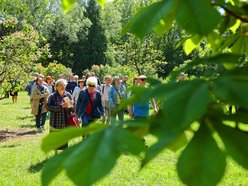 Spacer o ziołach leczniczych w Ogrodzie Botanicznym w Łodzi