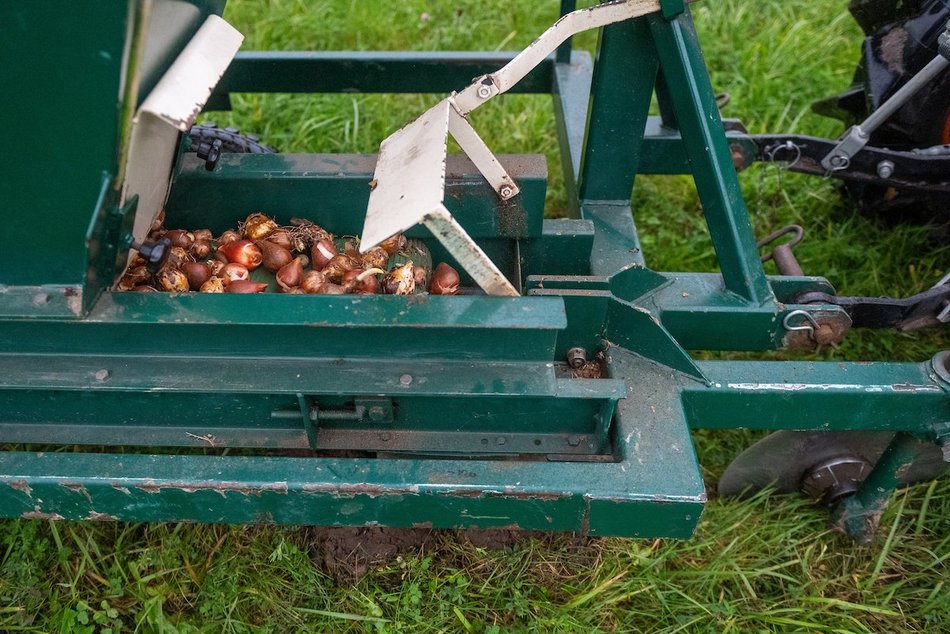 Łódź. Miasto rozkwitnie dzięki Budżetowi Obywatelskiemu Łódź