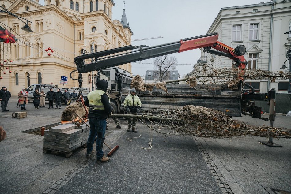 Łódź. Zielona metamorfoza Piotrkowskiej!