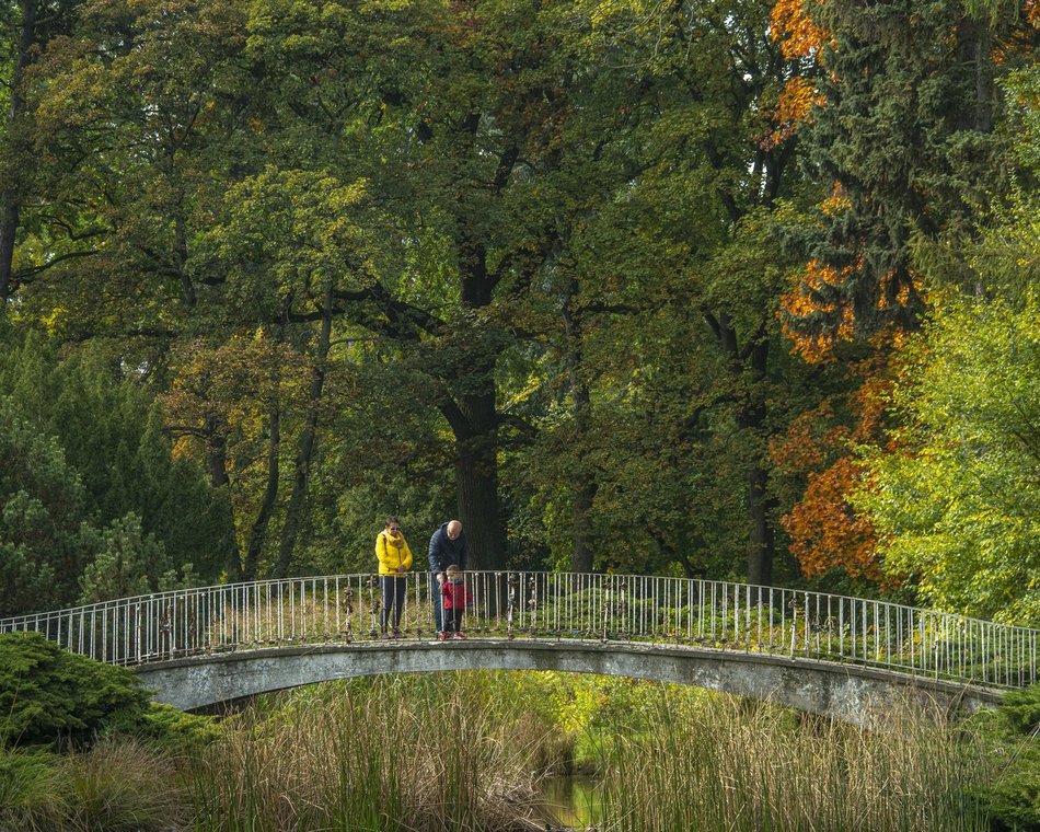 Park Poniatowskiego w jesiennych barwach. Baśniowy krajobraz w centrum miasta