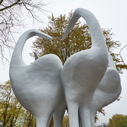 Bez Bocianów na Retkini trudno sobie wyobrazić tego osiedla , fot. ŁÓDŹ.PL