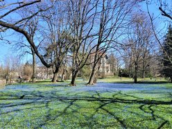 Wólka płynęła przez Park Klepacza