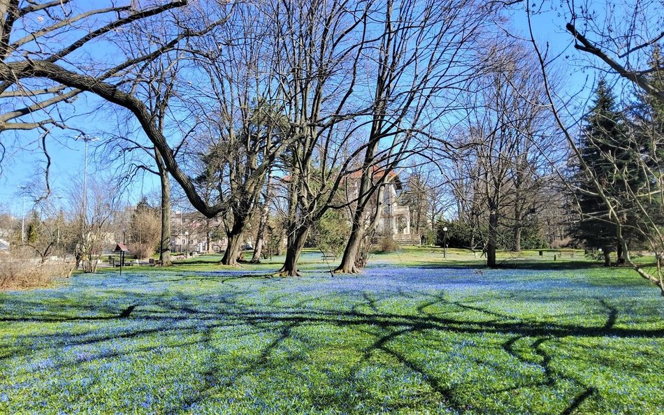 Wólka płynęła przez Park Klepacza