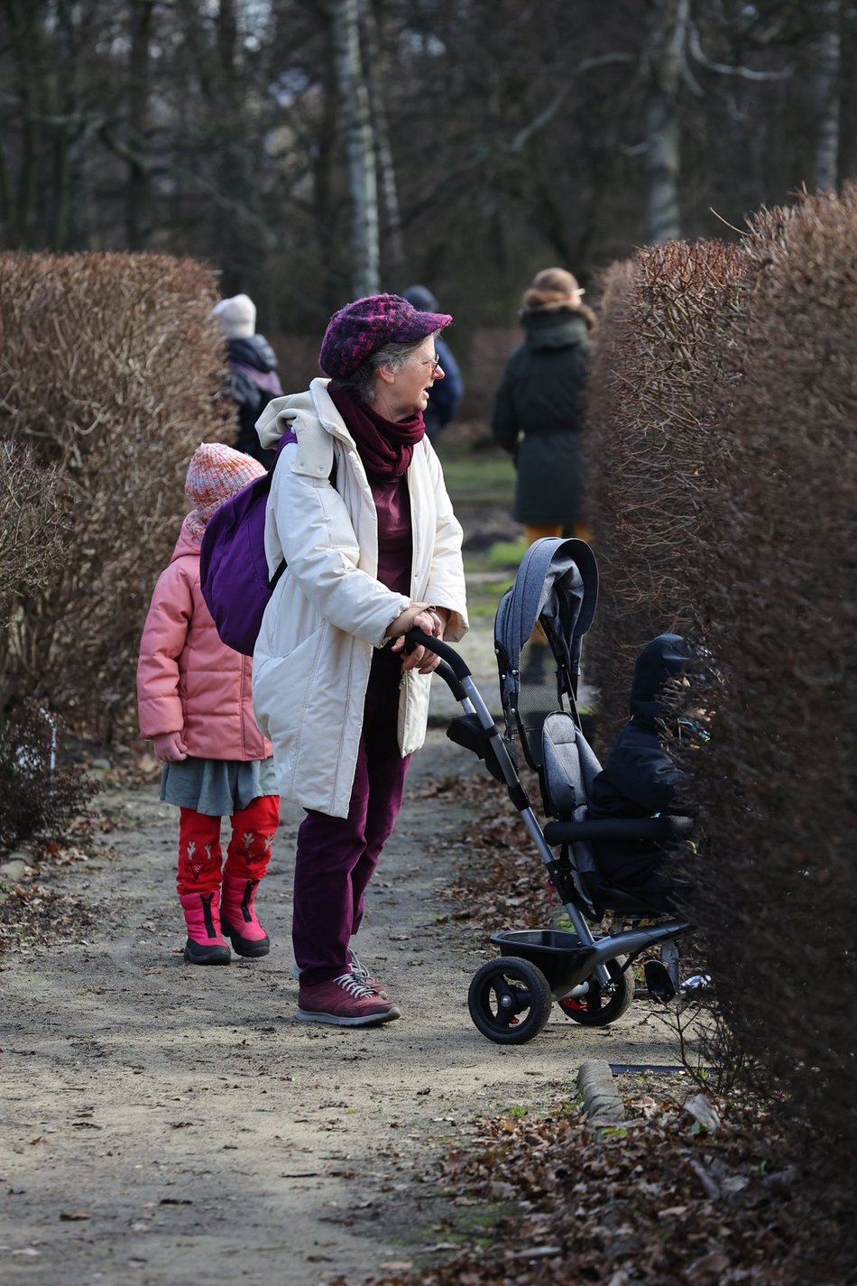 ogród botaniczny