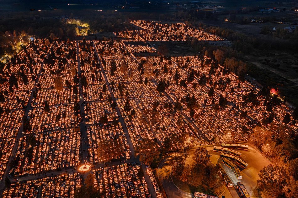 Cmentarz Szczecińska w Łodzi wygląda magicznie. Wybierz się na spacer w zaduszki