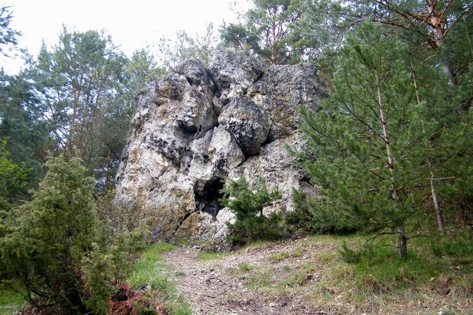 Łódź. TOP 11 cudów natury w Łódzkiem. Głębokie jaskinie, przepastne groty, wzniesienia i inne