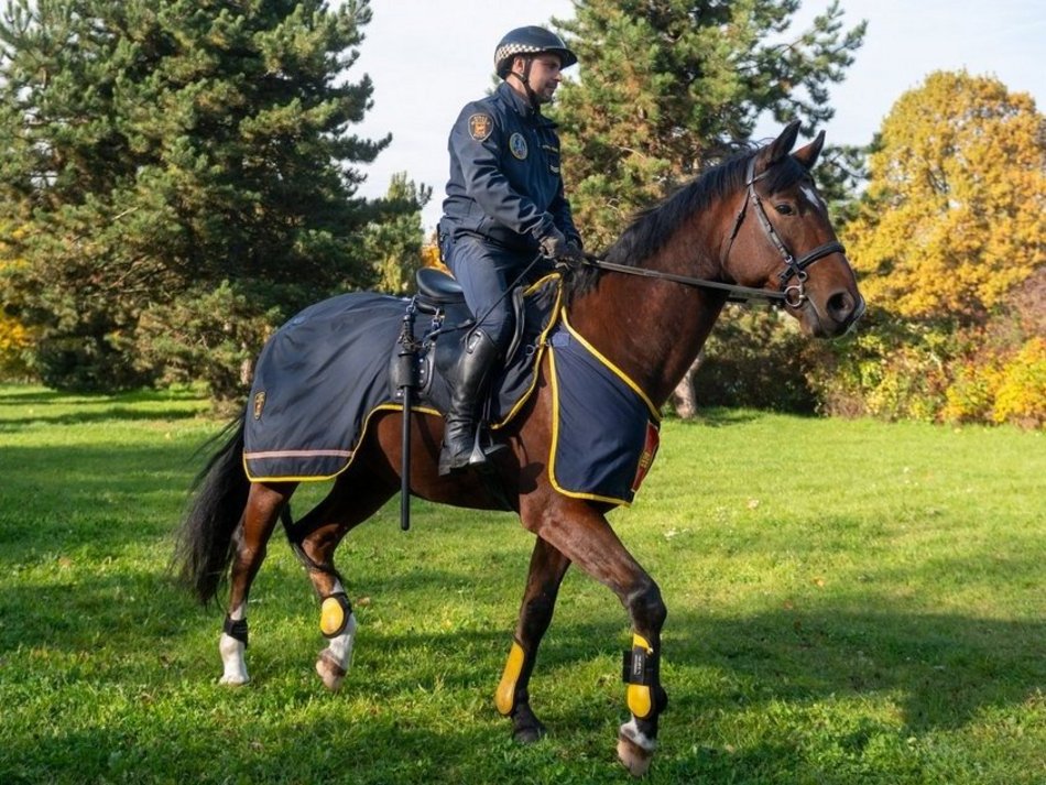 Łódź. Zwierzęta w Łodzi są ważne
