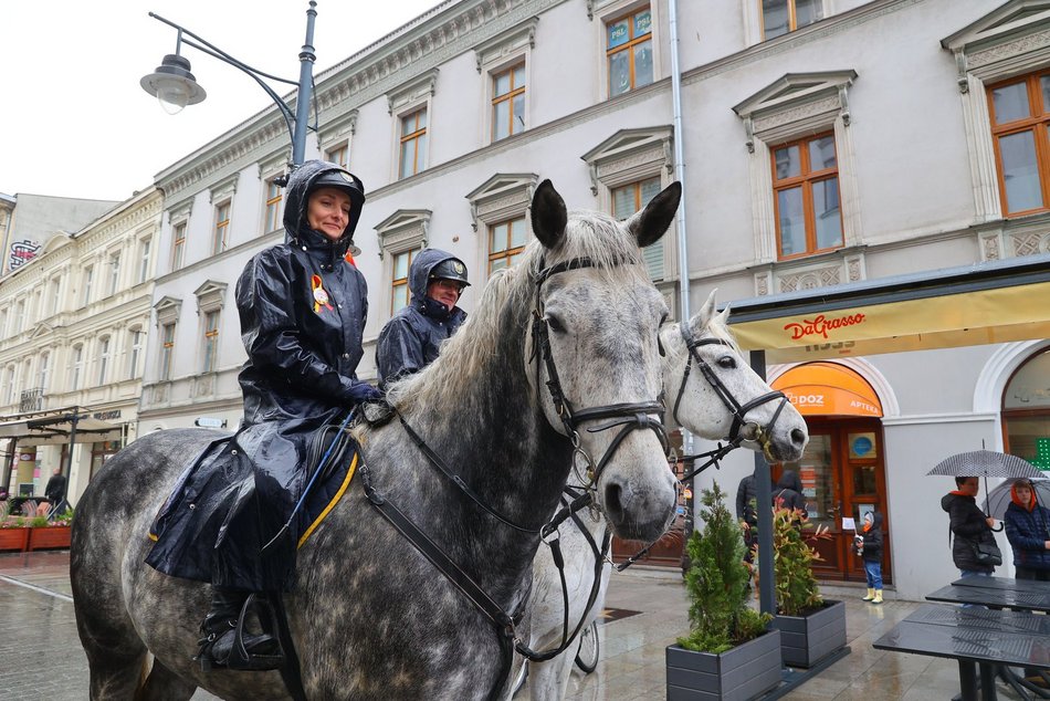 Parada kundelków w Łodzi 2025 przeszła ulicami. Skala słodyczy wysoka jak nigdy!
