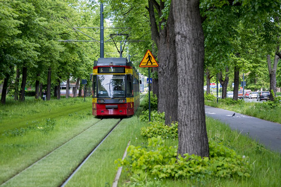 Łódź. Ponad 30 kilometrów najbardziej zielonych torowisk w Polsce? Oczywiście w Łodzi!