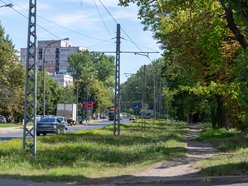 Tramwaje MPK Łódź wrócą na Koziny. Poszukiwany wykonawca remontu torowiska na Srebrzyńskiej