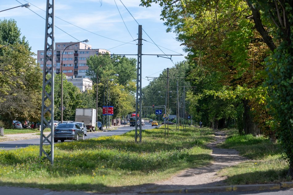 Tramwaje MPK Łódź wrócą na Koziny. Poszukiwany wykonawca remontu torowiska na Srebrzyńskiej