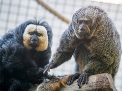 fot. Orientarium Zoo Łódź