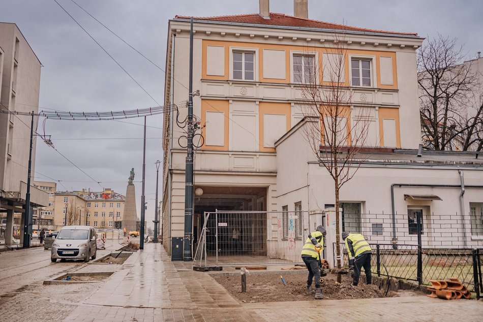 Sadzenie drzew na ul. Legionów przy placu Wolności