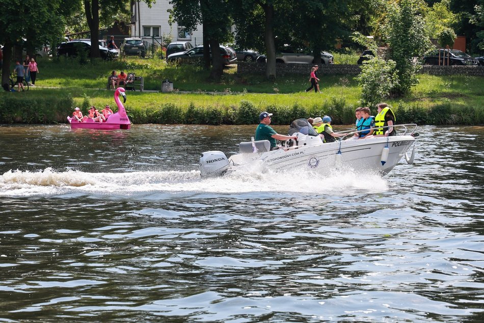 Łódź. Dzień Dziecka w parku na Młynku w Łodzi. Dmuchańce, alpaki i skutery wodne