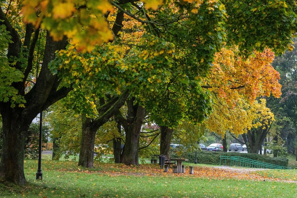 Łódź. Jesienne kadry z parków