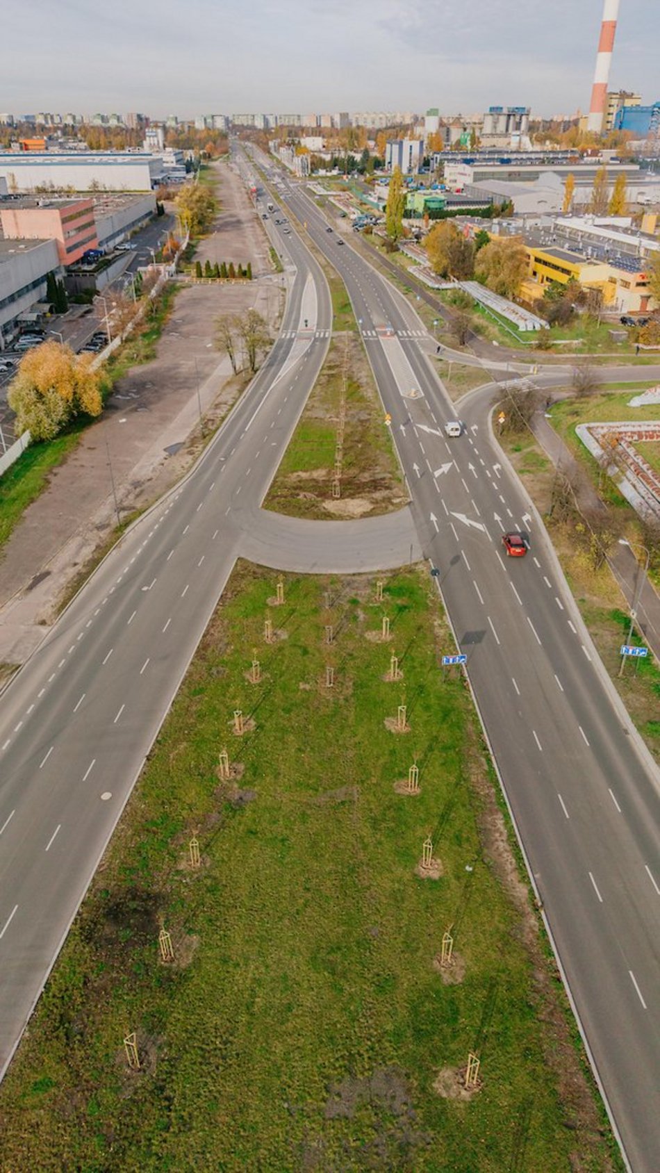 Łódź. Kolejne drzewa w centrum Łodzi!