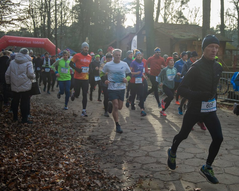 biegacze w lesie
