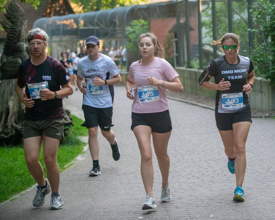 Bieg Rekina w Orientarium Zoo Łódź