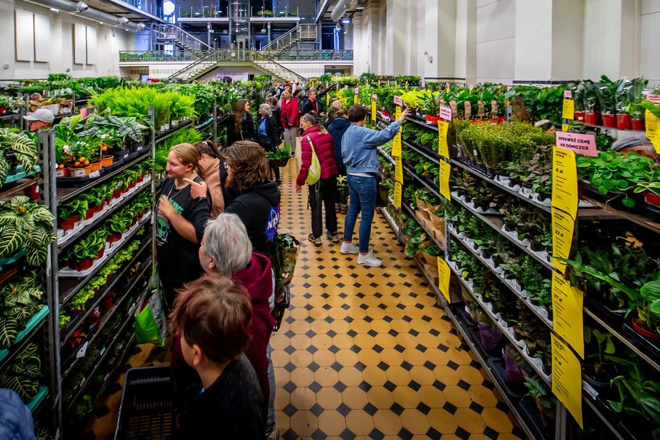 Festiwal Roślin w EC1 Łódź