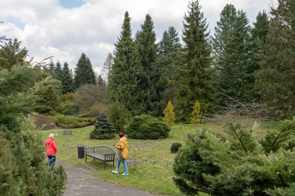 Wiosenny Ogród Botaniczny w Łodzi. Spacer wśród budzącej się do życia przyrody