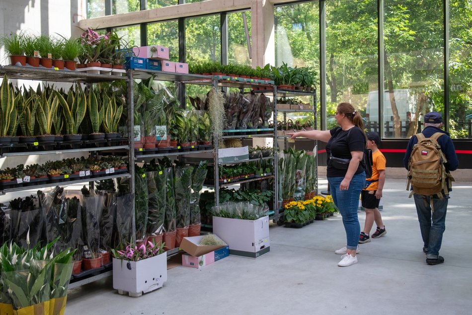Łódź. Wielki czerwiec w Orientarium Zoo Łódź. Mnóstwo atrakcji i tłumy odwiedzających