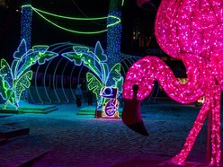 Łódź. Walentynki w Orientarium Zoo Łódź. Spacer po Parku Miliona Świateł, kolacja z rybkami i karaczany