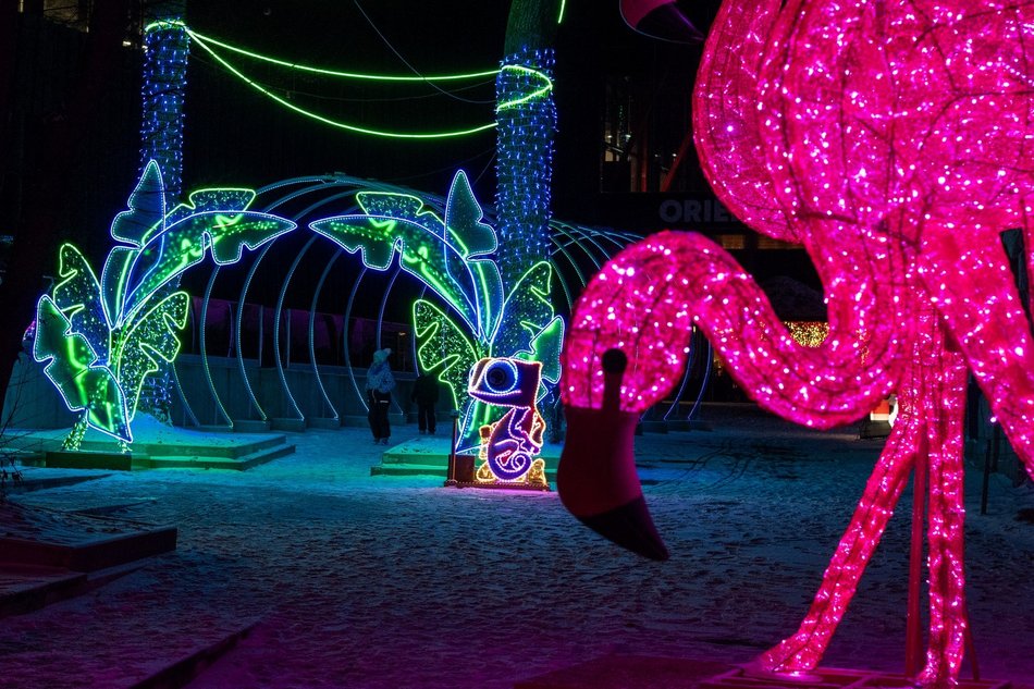 Łódź. Walentynki w Orientarium Zoo Łódź. Spacer po Parku Miliona Świateł, kolacja z rybkami i karaczany