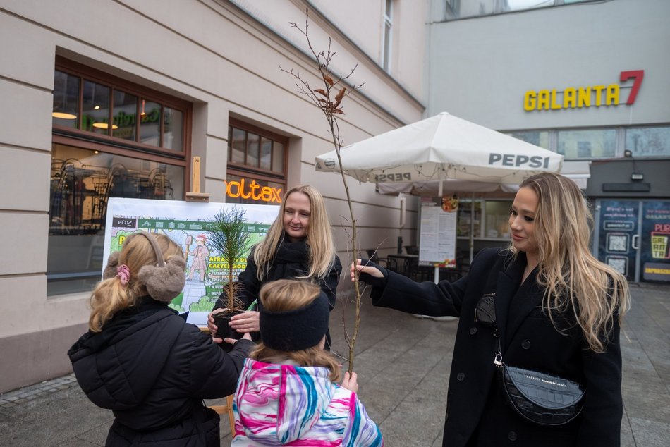 Łódź. Drzewa na Piotrkowskiej w Łodzi posadzone! Łodzianie uczestniczyli w imprezie