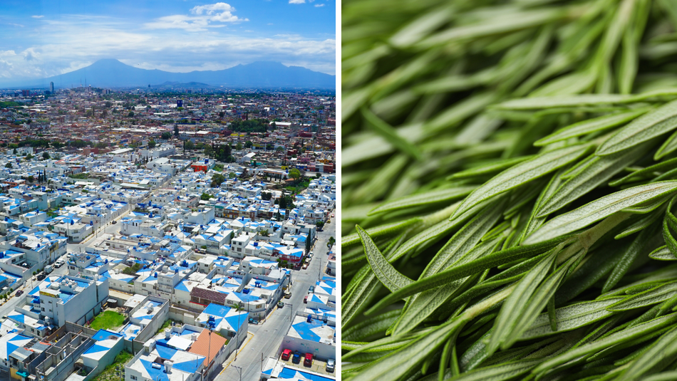 Łódź. Co na Święta jadają w Chinach czy Gruzji? Kulinarna podróż po miastach partnerskich Łodzi