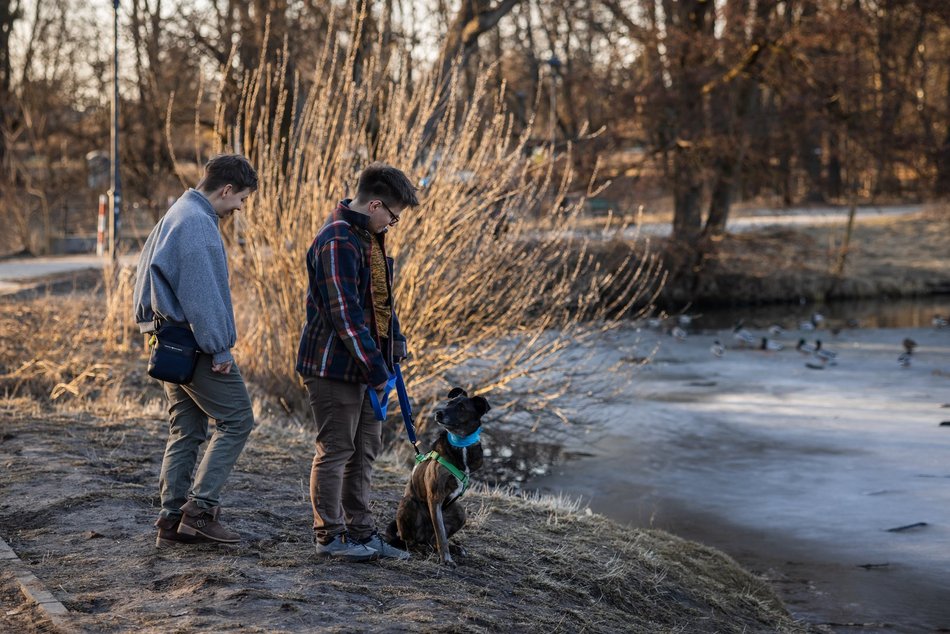 Łódź. Trójnogi Natan ze schroniska w Łodzi znalazł dom! Poznaj Martę i Kasię, które obdarzyły go miłością