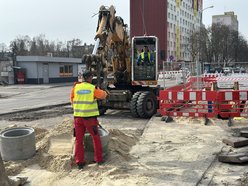 Łódź. Remont Wielkopolskiej. NIE dla drogi rowerowej między drzewami, TAK dla nowych parkingów!
