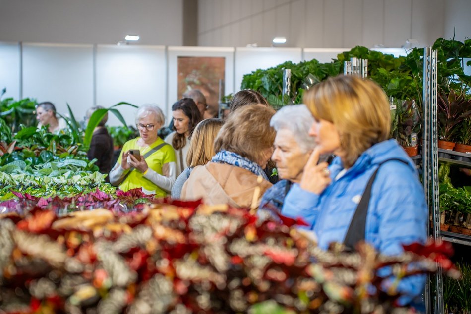 Łódź. World Flower Show w hali Expo Łódź. Przyjdź i zobacz orchidee, drzewa bonsai i sukulenty