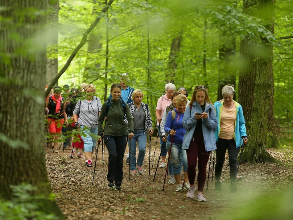 Nordic walking w Arturówku