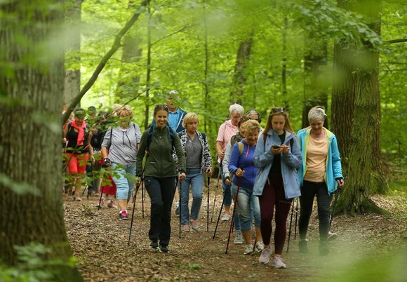 Nordic walking w Arturówku