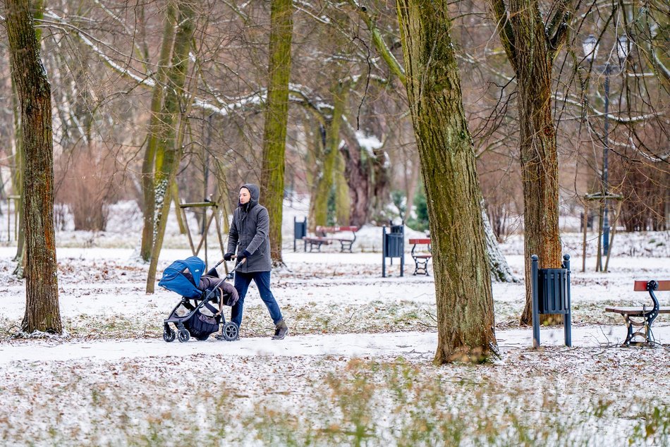 Park Poniatowskiego w zimowej szacie