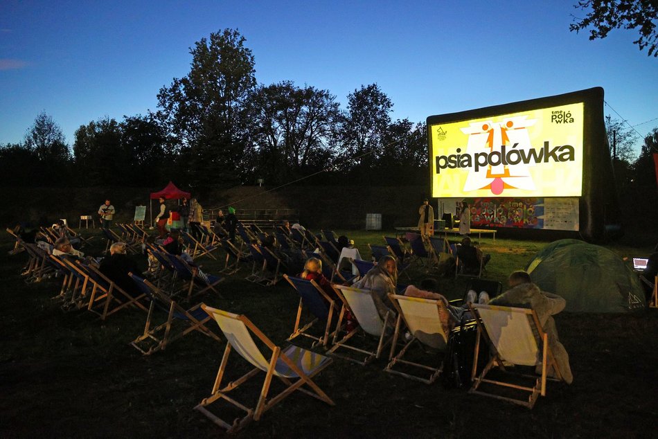 Psia Polówka w Porcie Łódź