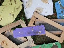 Łódź. Rośliny pełne tajemnic! Rodzinne warsztaty w Ogrodzie Botanicznym