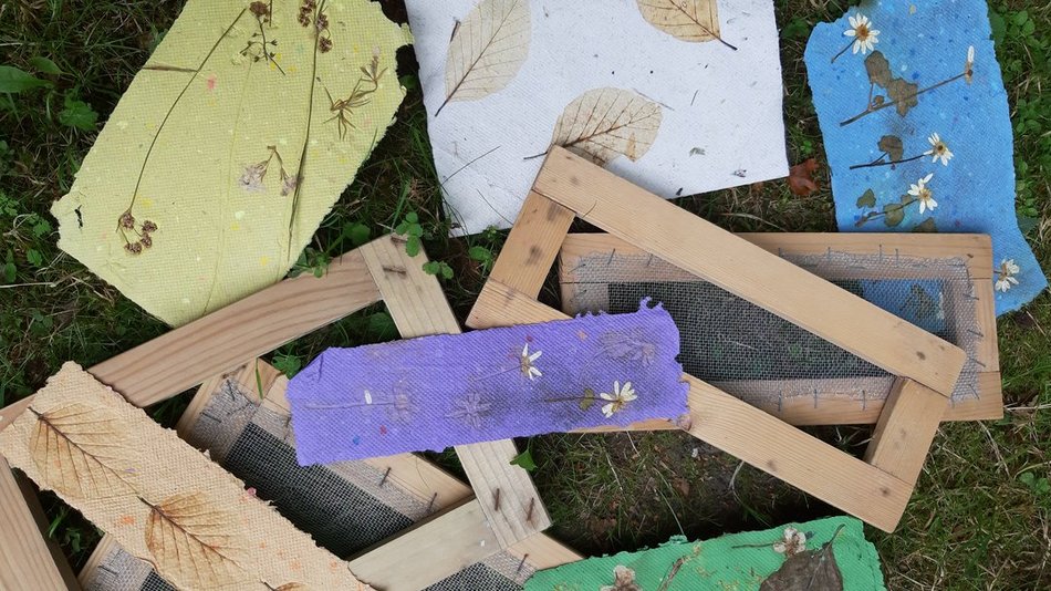 Łódź. Rośliny pełne tajemnic! Rodzinne warsztaty w Ogrodzie Botanicznym