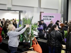 Festiwal Roślin w EC1 Łódź. Zobacz, jakie okazy możesz tu upolować. Jeszcze zdążysz!