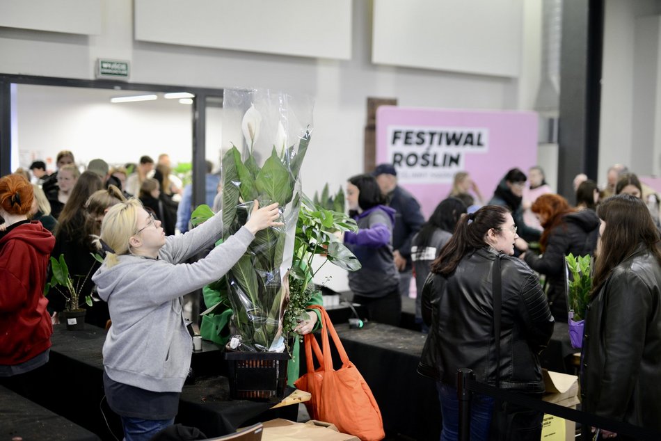 Festiwal Roślin w EC1 Łódź. Zobacz, jakie okazy możesz tu upolować. Jeszcze zdążysz!