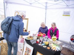 Piknik bez barier na Starym Rynku w Łodzi. Cenne informacje dla osób z niepełnosprawnościami