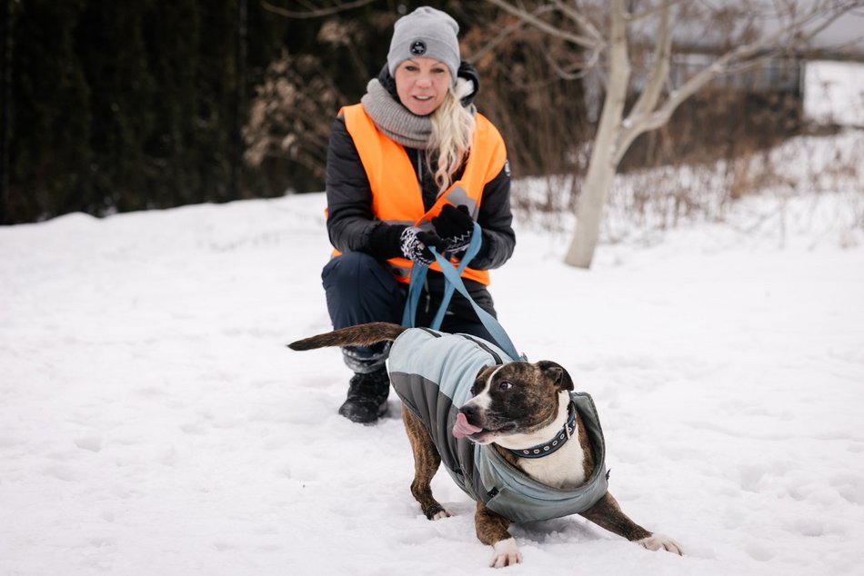 Łódź. Psy ze schroniska w Łodzi znów na spacerze! Dla tych wesołych pyszczków aż chce się chodzić!