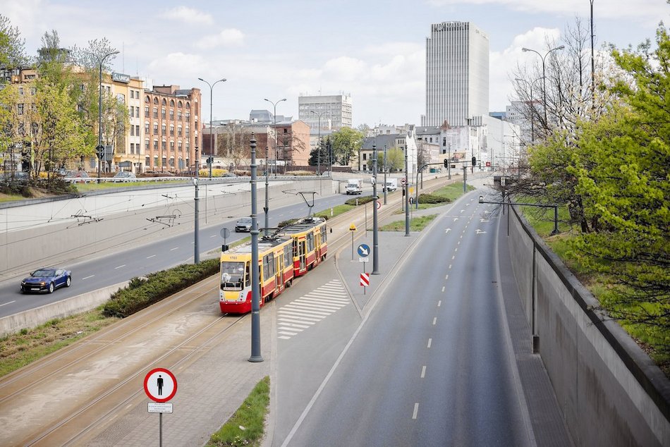 Łódź. Zielona trasa W-Z w Łodzi. Ponad 2 tysiące drzew kwitnie od Retkini po Olechów!