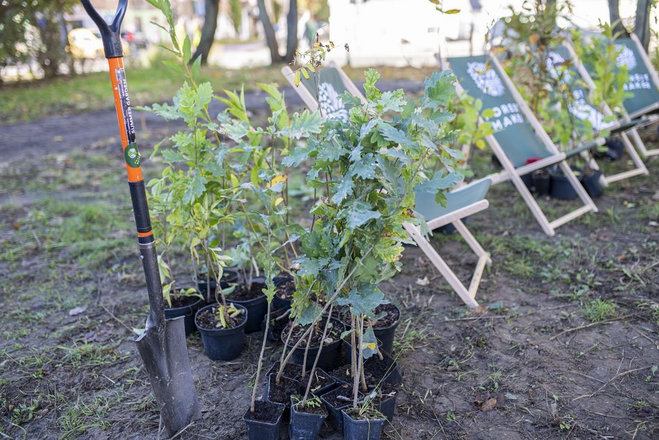 Na Polesiu powstał... mikrolas!