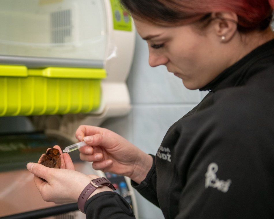 Opiekunka zwierząt z Orientarium Zoo Łódź
